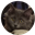 LuneSombre's avatar