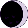 videonaterAD's avatar