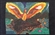 PhoenixOfDoom's avatar