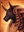 Drrax's avatar
