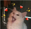 Shed_Shack's avatar