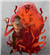 ParticleHex's avatar