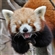 Dave523's avatar