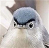 Jykae's avatar