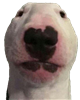 Beepiz_Peepiz's avatar