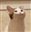 NCZGaming's avatar