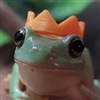 AstroShark_'s avatar