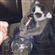 Meklow's avatar