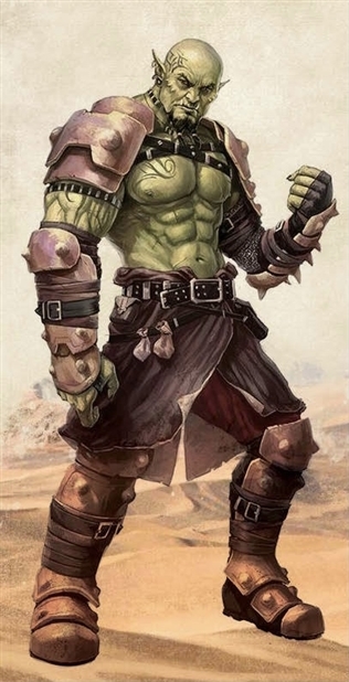 Combatant Image