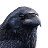 Corvuscrow22's avatar