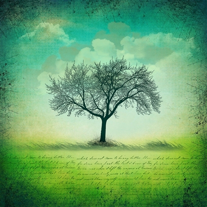 Circle Of Time Image
