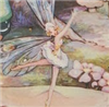 ferrymouse's avatar