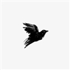 Arrythmia_Tempo's avatar