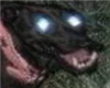 coolguyVEVO's avatar