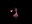 Pugscale's avatar