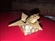 TOAD_in_a_box's avatar