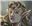 Freya_of_the_Dawn's avatar