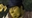 Niyou's avatar