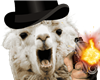 BusinessAlpaca's avatar