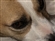 BobtheCob's avatar