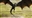 S0ulstic3's avatar
