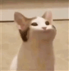 DankDnD's avatar