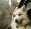 Nickell_v's avatar