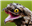 ConscriptSpider's avatar