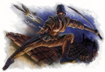 Way Of Ninjutsu Image