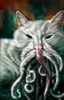 MatBlack's avatar