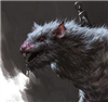 Jarmendo's avatar
