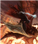 HomebrewMindFlayer's avatar
