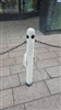 HunterFlorist's avatar