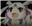 VelocitySwitch's avatar