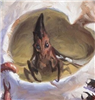 Drizzl7's avatar