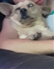 ThatJuanToo's avatar
