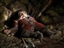 Grathios's avatar