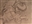 Ashkevi's avatar