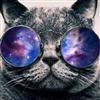 FluffyTheGamingKitty's avatar