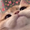 kimiyimi's avatar