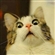 PederOluf's avatar