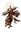 Tariqus's avatar