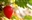 strawberryman64's avatar