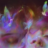 venuseyed's avatar
