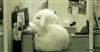 Gamerdj1981's avatar