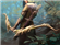 Deladriendil's avatar