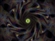 Zakorick's avatar