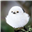 GooeyJib's avatar