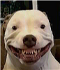 mmeph's avatar