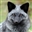 SmokeyMarble's avatar